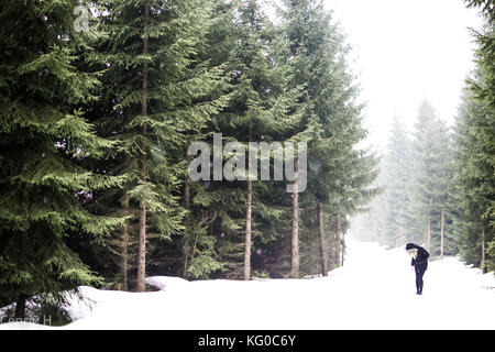 Mädchen im Schnee Stockfoto