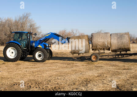 New Holland T6030 Traktor laden Anhänger mit Rundballen Heu mit neuen 840Tl Frontlader auf einer Ranch Stockfoto