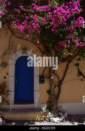 Eine alte Tür und Bougainvillea in assos auf der griechischen Insel Kefalonia Stockfoto