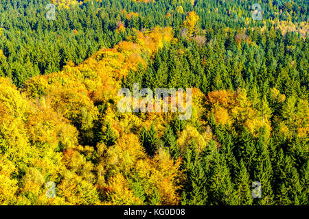 Luftaufnahme auf bunten Bäume im Herbst Stockfoto