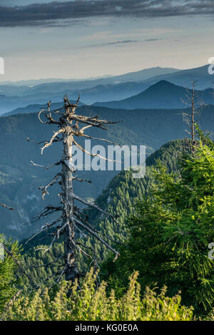 Logar-tal im Sommer Stockfoto