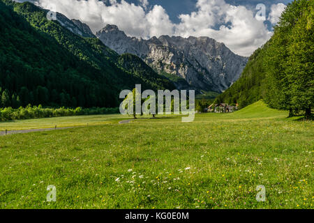 Logar-tal im Sommer Stockfoto