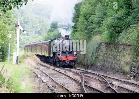 Dampflok 61264 zieht der Passagierverkehr auf der North Yorkshire Moors Stockfoto