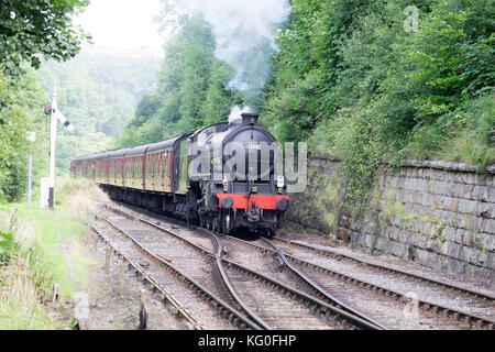 Dampflok 61264 zieht der Passagierverkehr auf der North Yorkshire Moors Stockfoto