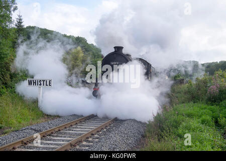 Dampflok 61264 zieht der Passagierverkehr auf der North Yorkshire Moors Stockfoto