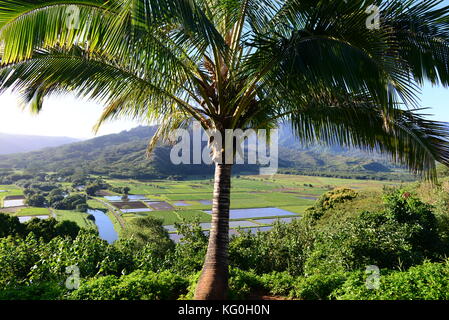 Hawaii Stockfoto