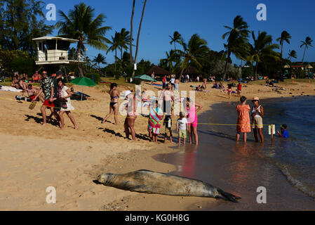 Hawaii Stockfoto