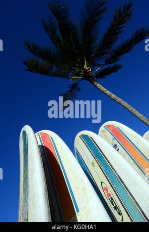 Hawaii Stockfoto