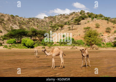 Berglandschaft in der Umgebung des South horr Dorf samburu Menschen in Kenia Stockfoto