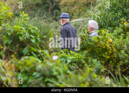 Ein älteres Paar, das im Herbst in Großbritannien durch einen Park läuft. Stockfoto