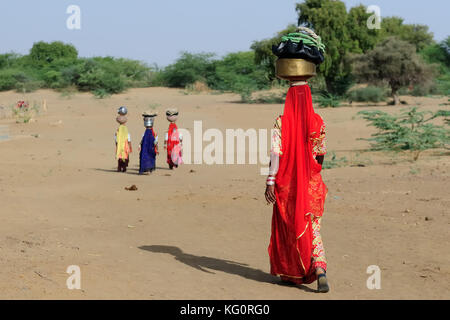 Indischen ethnischen Frauen trägt Glas auf den Kopf und gehen für das Wasser in der Wüste Rajasthan, Indien. Thar Wüste in der Nähe von jaisamler Stockfoto
