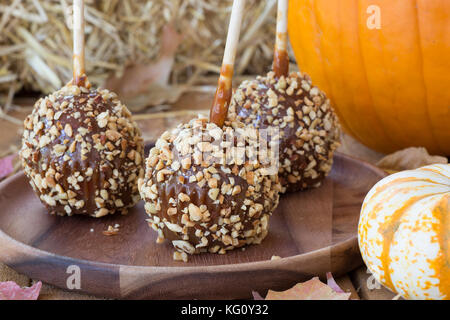 Karamel Äpfel beschichtet mit Muttern auf einer Holzplatte mit Kürbissen Stockfoto