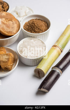 Zuckerrüben, Zuckersorte und Zuckerrohr - Nebenprodukte von Zuckerrohr oder Ganna auf launischem Hintergrund platziert. Selektiver Fokus Stockfoto