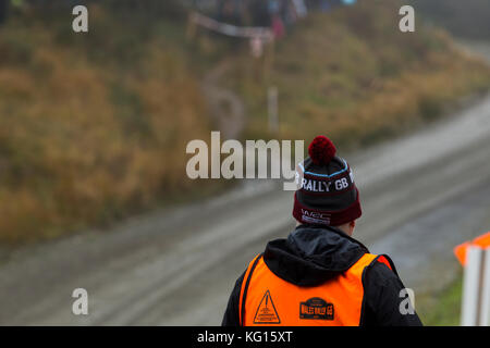 28/10/17 dyfi, snowdonia, Wales. Marshal steht gerade die Masse, die am dayinsure Rallye in Wales dyfi. Stockfoto