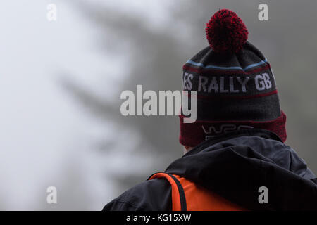 28/10/17 dyfi, snowdonia, Wales, eine Rallye Marschall Beginn der Stufe 8 im Wales Rally erwartet Stockfoto