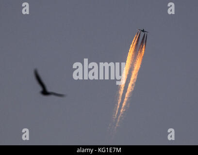 Frankfurt am Main, Deutschland. November 2017. Ein Flugzeug mit kurzen Kondensstreifen während des Sonnenaufgangs in Frankfurt am Main, Deutschland, 02. November 2017. Frank Rumpenhorst/dpa/Alamy Live News Stockfoto
