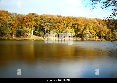 Newmillerdam Wakefield, Großbritannien. 2 Nov, 2017. de Wetter. Eine bedeckt, aber trocken November Tag an newmiller Dam in der Nähe von Wakefield, West Yorkshire. Dies ist eine lange Aufnahme Bewegung, die in den Bäumen, die auch den Wellen aus dem Wasser geglättet hat. Am 2. November 2017 eingenommen. Credit: Andrew Gardner/alamy leben Nachrichten Stockfoto