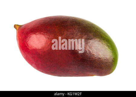 Mango junge Frucht auf weißem Hintergrund. Stockfoto