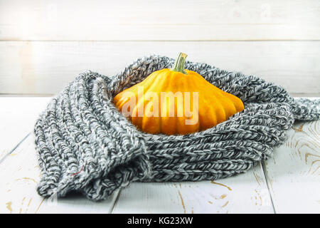 Kürbis patty Pan in einem warmen gemütlichen Schal auf eine weiße Holztisch. Herbst Ernte. Stockfoto