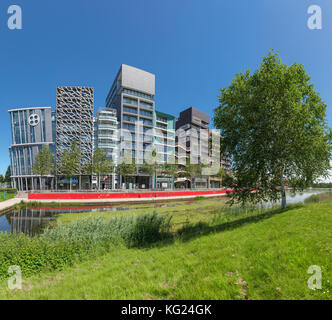 Bausteine der Ferienwohnungen Silverpark Lelystad, Flevoland, Niederlande *** Local Caption *** Stadt, Dorf, Feld, Wiese, Wasser, Sommer, Stockfoto