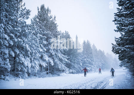 Skifahren am Cairngorm Mountain, glenmore, Cairngorms National Park, Schottland, Großbritannien, Europa Stockfoto