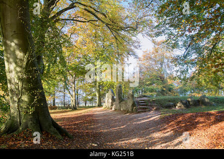 Waylands Schmiede im Herbst morgens das Sonnenlicht. Jungsteinzeit gekammert Long Barrow entlang der Höhenweg, Ashbury, Oxfordshire, England. Stockfoto