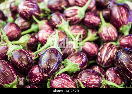 Aubergine (Auberginen) zum Verkauf in chaudi Markt, Goa, Indien, Asien Stockfoto