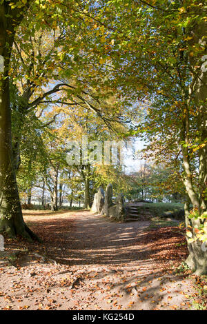 Waylands Schmiede im Herbst morgens das Sonnenlicht. Jungsteinzeit gekammert Long Barrow entlang der Höhenweg, Ashbury, Oxfordshire, England. Stockfoto