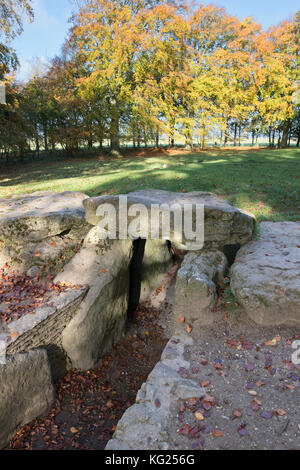 Waylands Schmiede im Herbst morgens das Sonnenlicht. Jungsteinzeit gekammert Long Barrow entlang der Höhenweg, Ashbury, Oxfordshire, England. Stockfoto