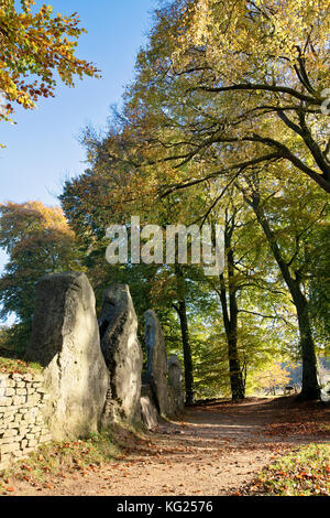 Waylands Schmiede im Herbst morgens das Sonnenlicht. Jungsteinzeit gekammert Long Barrow entlang der Höhenweg, Ashbury, Oxfordshire, England. Stockfoto