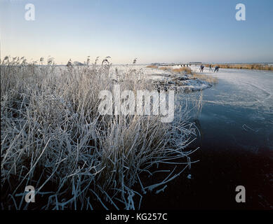 Frosty Feld Jisp, Noord-Holland, Niederlande *** Local Caption *** Landschaft, Wasser, Winter, Schnee, Eis, Menschen, Stockfoto