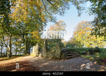 Waylands Schmiede im Herbst morgens das Sonnenlicht. Jungsteinzeit gekammert Long Barrow entlang der Höhenweg, Ashbury, Oxfordshire, England. Stockfoto