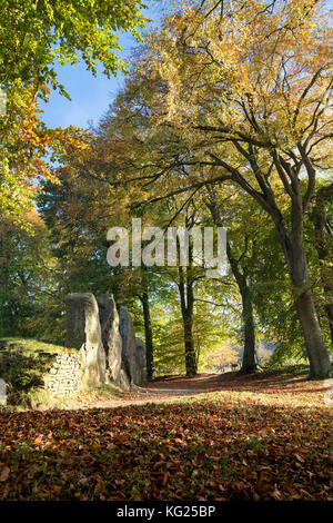 Waylands Schmiede im Herbst morgens das Sonnenlicht. Jungsteinzeit gekammert Long Barrow entlang der Höhenweg, Ashbury, Oxfordshire, England. Stockfoto