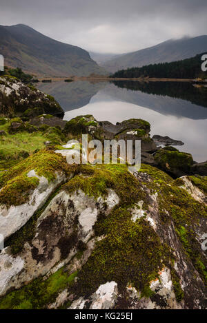 Moos bedeckt Felsen, Berge und Reflexionen in cummeenduff See, Black Valley, Killarney, County Kerry, Munster, Republik Irland, Europa Stockfoto