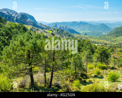 Sierra de Grazalema, Andalusien, Spanien, Europa Stockfoto