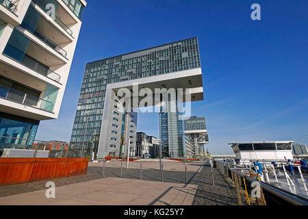 Kranhäuser im Rheinauer Hafen, Köln, Nordrhein-Westfalen, Deutschland, Europa Stockfoto