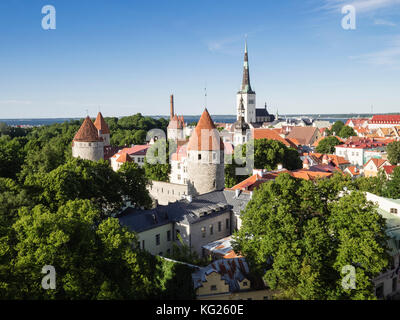 Blick auf die Stadt von der Aussichtsplattform Patkuli, Altstadt, UNESCO-Weltkulturerbe, Tallinn, Estland, Baltikum, Europa Stockfoto