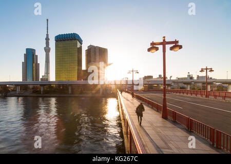Skyline der Stadt und Skytree am Sumida River bei Sonnenaufgang, Tokio, Japan, Asien Stockfoto