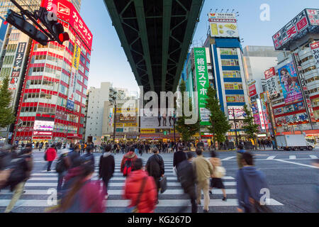 Neonschilder bedecken Gebäude im Unterhaltungselektronikviertel Akihabara, Tokio, Japan und Asien Stockfoto