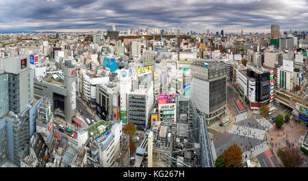 Erhöhter Blick über Shibuya Ward in Richtung Shinjuku Skyline, Tokio, Japan, Asien Stockfoto