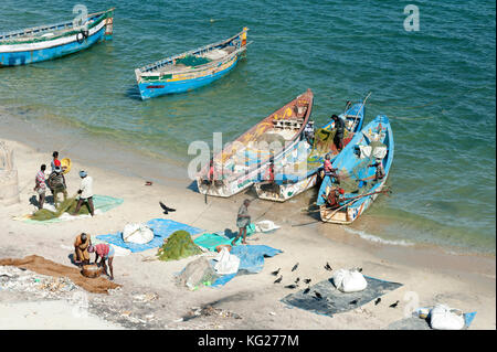 Fischer mit Fisch zu landen und Aufräumen, ihre bunten Fischerbooten unter Pamban Brücke, rameshwaram, Tamil Nadu, Indien, Asien Stockfoto