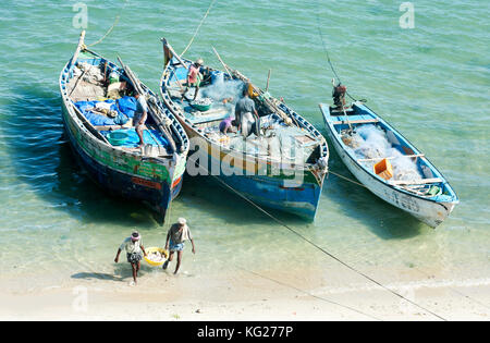 Fischer mit Fisch zu landen und Aufräumen, ihre bunten Fischerbooten unter Pamban Brücke, rameshwaram, Tamil Nadu, Indien, Asien Stockfoto