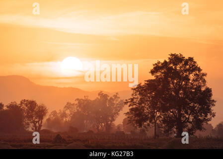 Sonnenuntergang über Reisfelder in der Nähe von hsipaw, Shan Staat, Myanmar (Birma), Asien Stockfoto