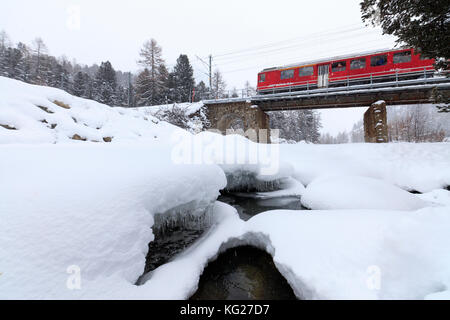 Der Bernina Express Zug in die verschneite Landschaft des Morteratsch, Engadin, Kanton Graubünden, Schweiz, Europa Stockfoto