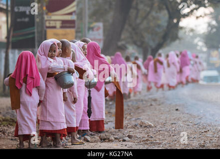 Buddhistische Nonnen Sammeln von Almosen am frühen Morgen in der Nähe von hsipaw, Shan Staat, Myanmar (Birma), Asien Stockfoto
