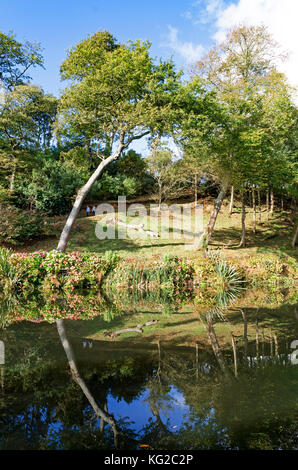 Trebah Gardens in der Nähe von mawnan Smith in Cornwall, England, Großbritannien. Stockfoto