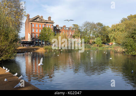 Barnes Dorfteich, Barnes, London Borough of Richmond upon Thames, Greater London, England, Vereinigtes Königreich Stockfoto