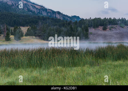 Morgennebel am Teich in Lamar Valley in Yellowstone Stockfoto