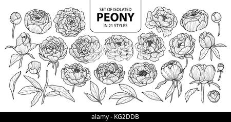 Eingestellt von isolierten Päonie in 21 Stile. cute Hand gezeichnet Blume Vector Illustration in schwarzer Umriss und weißen Ebene auf weißem Hintergrund. Stock Vektor