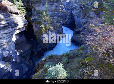 Der Athabasca River fließt durch die tiefen Schluchten Stockfoto